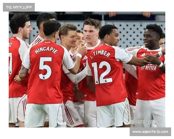 阿森纳1-0埃弗顿：拉亚零封助球队稳固防守